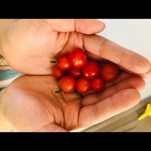 Meet your Posher, Yeri